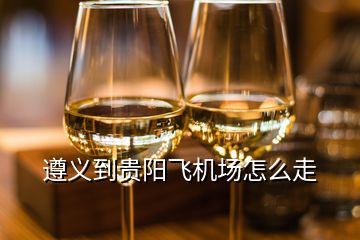 遵義到貴陽飛機(jī)場怎么走