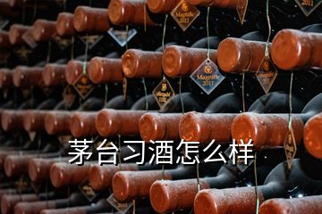 茅臺習(xí)酒怎么樣