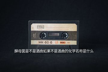 酵母菌是不是酒曲如果不是酒曲的化學名稱是什么