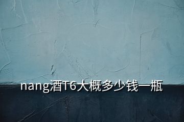 nang酒T6大概多少錢(qián)一瓶