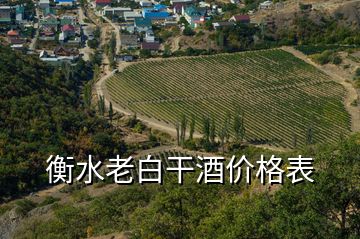衡水老白干酒價格表