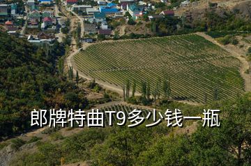 郎牌特曲T9多少錢一瓶