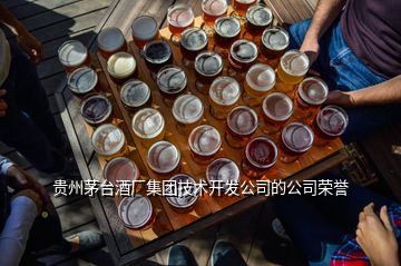 貴州茅臺酒廠集團技術開發(fā)公司的公司榮譽