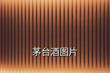 茅臺酒圖片