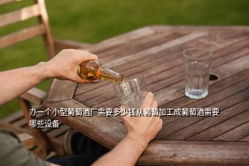 辦一個小型葡萄酒廠需要多少錢從葡萄加工成葡萄酒需要哪些設備