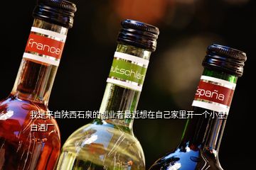我是來自陜西石泉的創(chuàng)業(yè)者最近想在自己家里開一個小型白酒廠