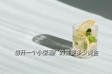 想開(kāi)一個(gè)小型酒廠的需要多少資金