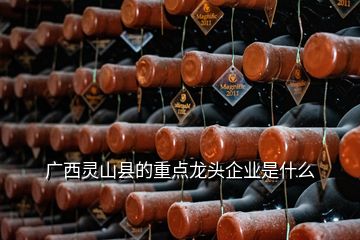 廣西靈山縣的重點龍頭企業(yè)是什么
