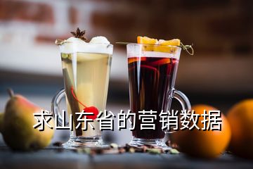 求山東省的營(yíng)銷(xiāo)數(shù)據(jù)