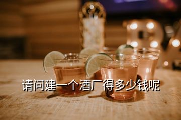 請問建一個酒廠得多少錢呢