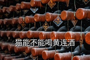 貓能不能喝黃連酒