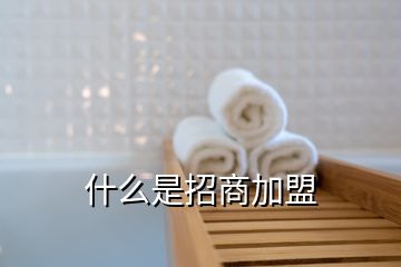 什么是招商加盟