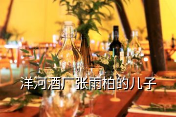 洋河酒廠張雨柏的兒子