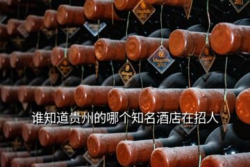 誰知道貴州的哪個知名酒店在招人