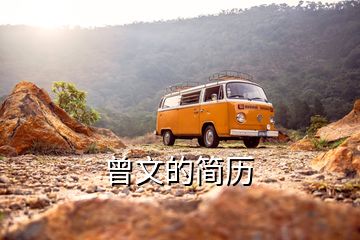 曾文的簡(jiǎn)歷