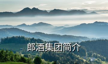 郎酒集團(tuán)簡(jiǎn)介