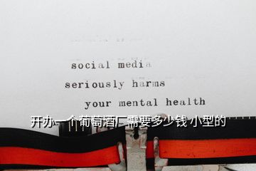 開辦一個葡萄酒廠需要多少錢 小型的