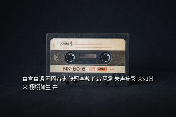 自言自語 囫圇吞棗 張冠李戴 飽經(jīng)風(fēng)霜 失聲痛哭 突如其來 栩栩如生 井