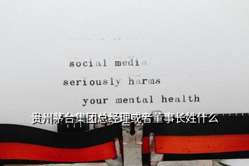 貴州茅臺集團(tuán)總經(jīng)理或者董事長姓什么