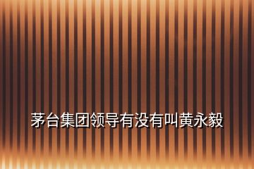 茅臺(tái)集團(tuán)領(lǐng)導(dǎo)有沒(méi)有叫黃永毅