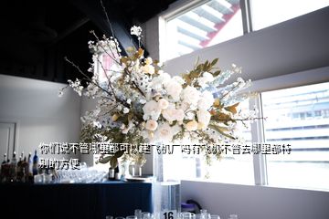 你們說不管哪里都可以建飛機(jī)廠嗎有飛機(jī)不管去哪里都特別的方便