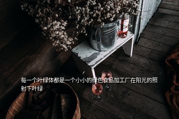 每一個(gè)葉綠體都是一個(gè)小小的綠色食品加工廠在陽(yáng)光的照射下葉綠