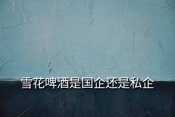 雪花啤酒是國(guó)企還是私企