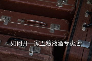 如何開(kāi)一家五糧液酒專賣店