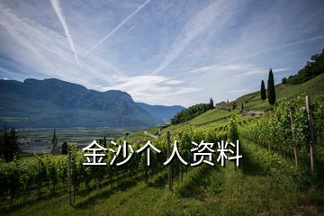 金沙個人資料
