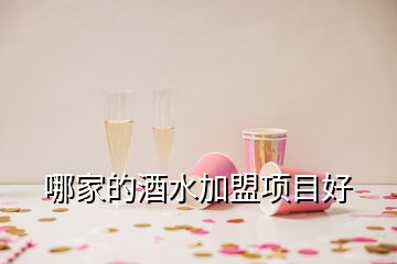 哪家的酒水加盟項目好