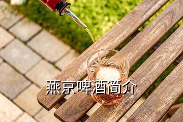 燕京啤酒簡(jiǎn)介