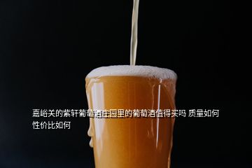 嘉峪關(guān)的紫軒葡萄酒莊園里的葡萄酒值得買(mǎi)嗎 質(zhì)量如何 性?xún)r(jià)比如何