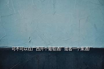 可不可以在廣西開個葡萄酒廠或者一個果酒廠