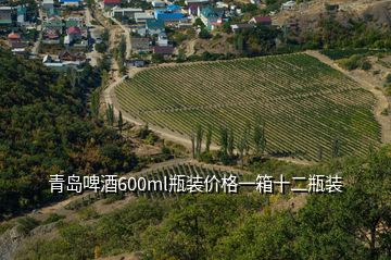 青島啤酒600ml瓶裝價(jià)格一箱十二瓶裝