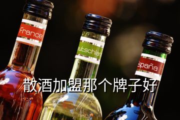散酒加盟那個(gè)牌子好