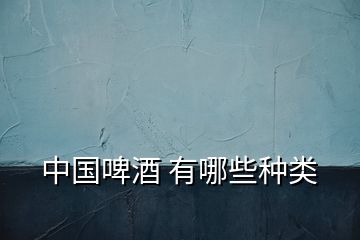 中國(guó)啤酒 有哪些種類
