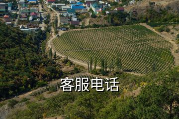 客服電話