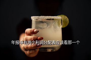 年報(bào)中有兩個(gè)利潤分配表應(yīng)該看那一個(gè)