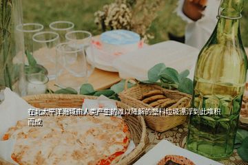 在北太平洋海域由人類產生的難以降解的塑料垃圾漂浮到此堆積而成