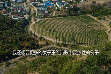 我還想要更多的關(guān)于王維詩(shī)歌中豪放性的例子