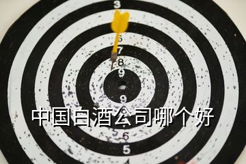 中國白酒公司哪個(gè)好