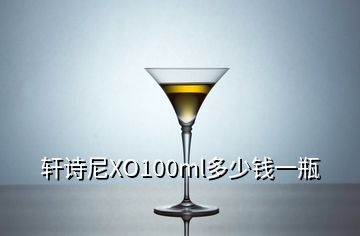 軒詩(shī)尼XO100ml多少錢一瓶