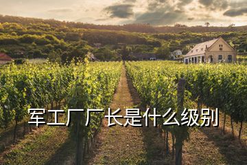 軍工廠廠長是什么級(jí)別