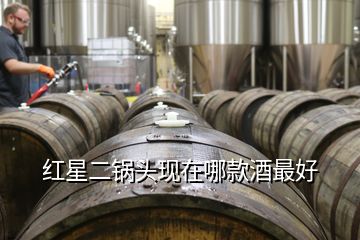 紅星二鍋頭現(xiàn)在哪款酒最好