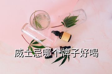 威士忌哪個牌子好喝