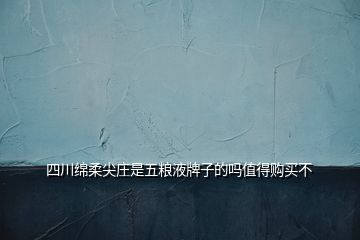 四川綿柔尖莊是五糧液牌子的嗎值得購(gòu)買不
