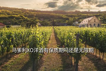 馬爹利XO洋酒有保質(zhì)期嗎還是無(wú)限期