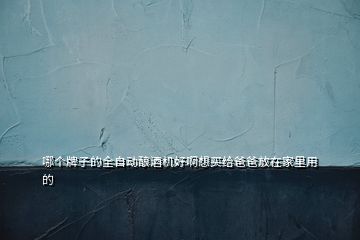 哪個牌子的全自動釀酒機好啊想買給爸爸放在家里用的