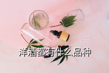 洋酒都有什么品種