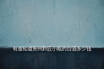 有誰知道貴州黔匠小瓶的白酒多少錢